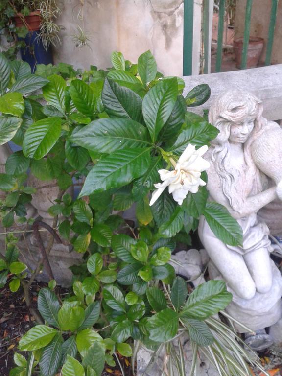 B&B Albatros Липари Екстериор снимка